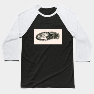 Cat Dreaming - peach background Baseball T-Shirt